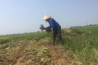 Hà Tĩnh: Một người đàn ông tử vong do sốc nhiệt