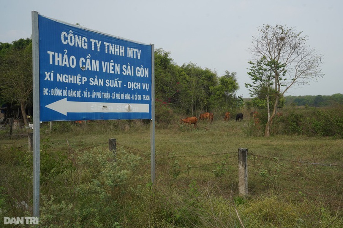 Cận cảnh dự án 500 triệu USD thành... nơi chăn bò - 9 Cận cảnh dự án 500 triệu USD thành... nơi chăn bò - 9