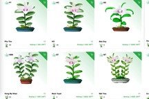 Cơn sốt đầu tư "lan điện tử" trị giá nghìn USD trên mạng