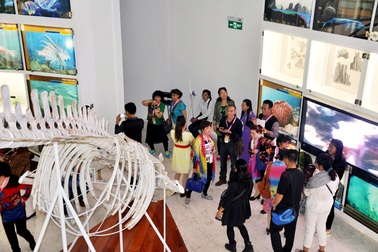 Những chuyển động mới của Bảo tàng Quảng Ninh trong hoạt động du lịch