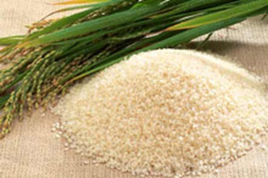 Châu Á “giật mình” vì giá lương thực