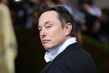 Elon Musk mỉa mai AI của Apple