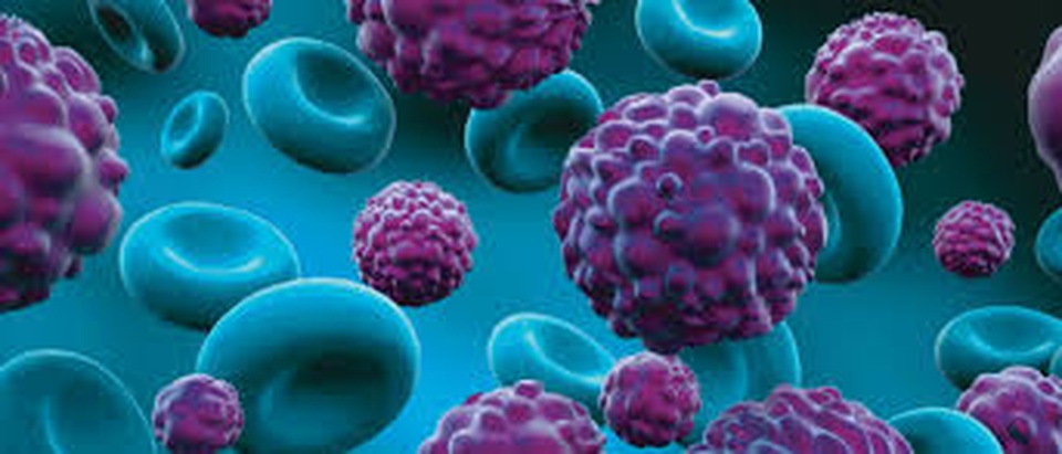 Liệu pháp nội tiết, thuốc nhắm trúng đích có gây vô sinh không? - 1