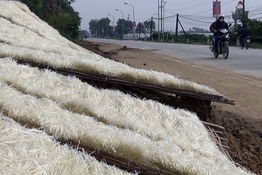 Cảnh hàng tấn miến phơi ven đường mất vệ sinh ở Hà Nội