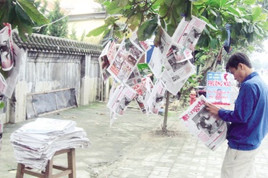 14 năm bán báo trên... cành cây