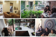 Giới trẻ kiếm bộn tiền nhờ kinh doanh homestay
