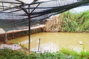 Phát hiện thi thể đôi nam nữ dưới hồ trữ nước tưới