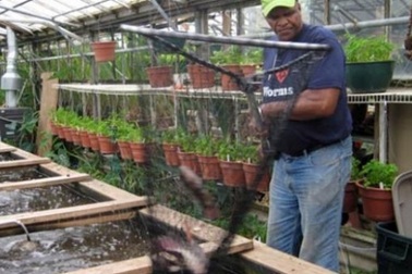 Cầu thủ bỏ nghề để làm… “tiến sỹ nông dân”