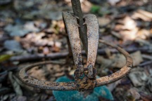 Số lượng bẫy "hàm của quỷ" phát hiện tại Đà Nẵng đã giảm