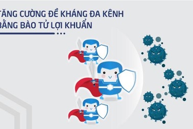 Sử dụng Bào tử lợi khuẩn Bacillus giúp tăng đề kháng đa kênh cho cơ thể