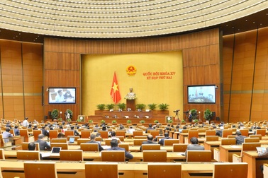 Đề xuất nghiêm cấm nhân viên bán bảo hiểm làm phiền, quấy nhiễu khách hàng