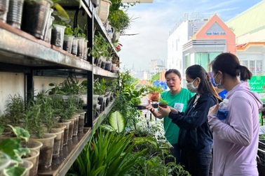 Chợ phiên có hàng nghìn cây giống giá 0 đồng trên nóc nhà 20m2