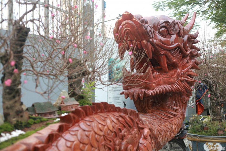 Ngắm chậu đào khủng Long quyện ngũ hành sơn giá bạc tỷ trên phố Hà Nội - 3 Ngắm chậu đào khủng Long quyện ngũ hành sơn giá bạc tỷ trên phố Hà Nội - 3