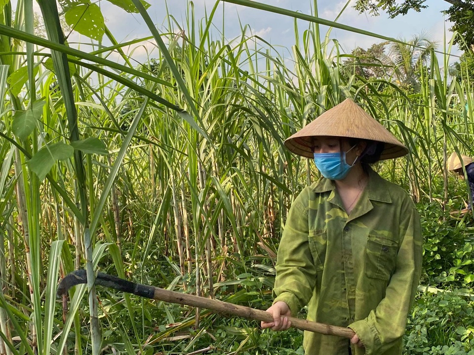Nữ sinh nghèo dân tộc Thổ được tài trợ học phí 4 năm đại học - 5 Nữ sinh nghèo dân tộc Thổ được tài trợ học phí 4 năm đại học - 5