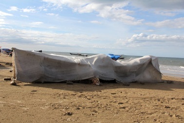 Lập hội đồng đánh giá việc khắc phục hậu quả vi phạm của Formosa