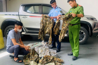 Xử phạt người đàn ông rao bán 50 bộ quần áo rằn ri