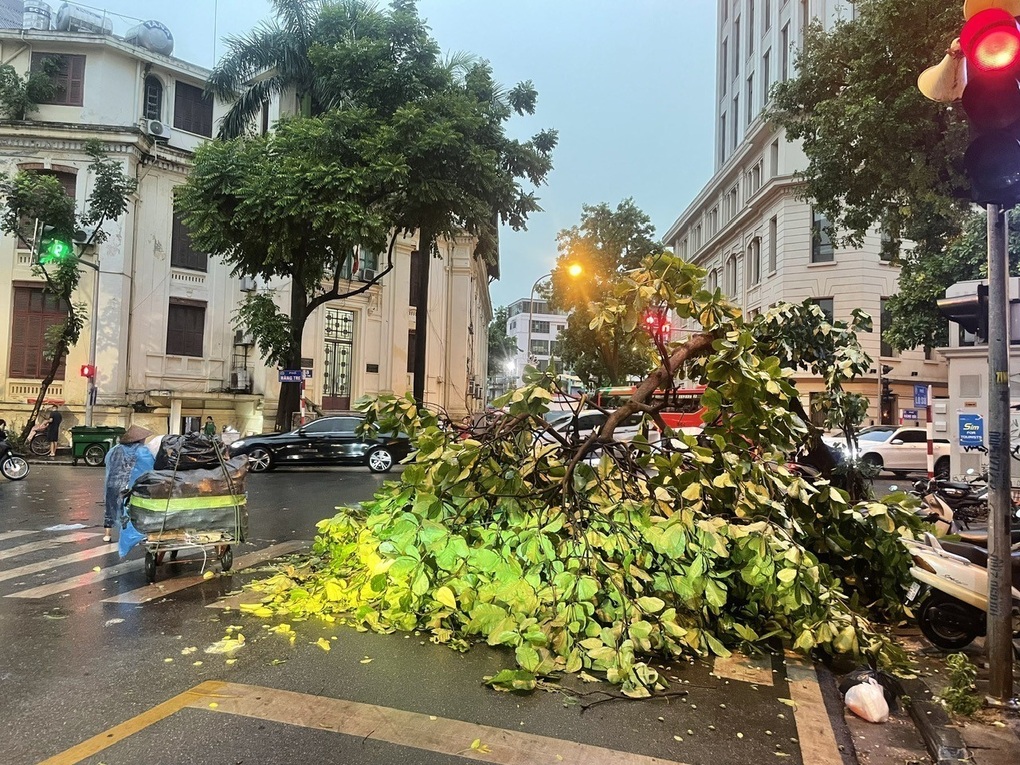 Nhiều cây xanh bật gốc, hàng rào tôn đổ đè ô tô trong cơn dông gió ở Hà Nội - 4 Nhiều cây xanh bật gốc, hàng rào tôn đổ đè ô tô trong cơn dông gió ở Hà Nội - 4