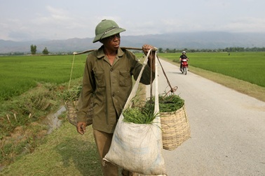 Câu chuyện cuộc đời con trai một người lính Pháp ở Điện Biên
