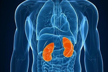 Suy thận cấp độ 4 sống được bao lâu?