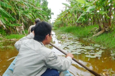 Về Cà Mau trải nghiệm tour khám phá cực Nam Tổ quốc