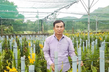 Đưa lan Mokara về miền núi, nông dân Đà Nẵng thu lãi 30 triệu đồng/tháng