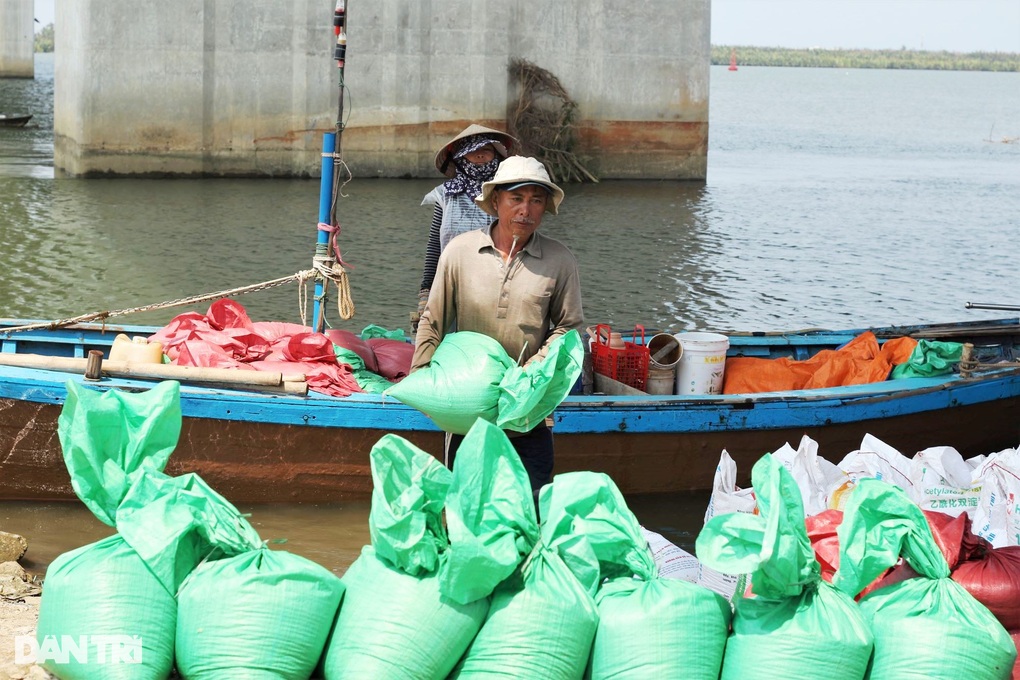 Trắng đêm cào ốc gạo, ngư dân bỏ túi bạc triệu - 3 Trắng đêm cào ốc gạo, ngư dân bỏ túi bạc triệu - 3