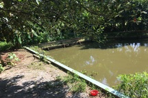 “Lão khùng” đại gia khởi nghiệp thành công với hai bàn tay trắng