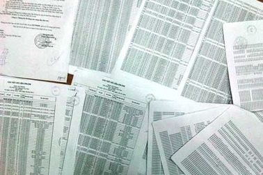 750 cuộc gọi và tin nhắn, ông Tâm - bà Liễu nói gì?