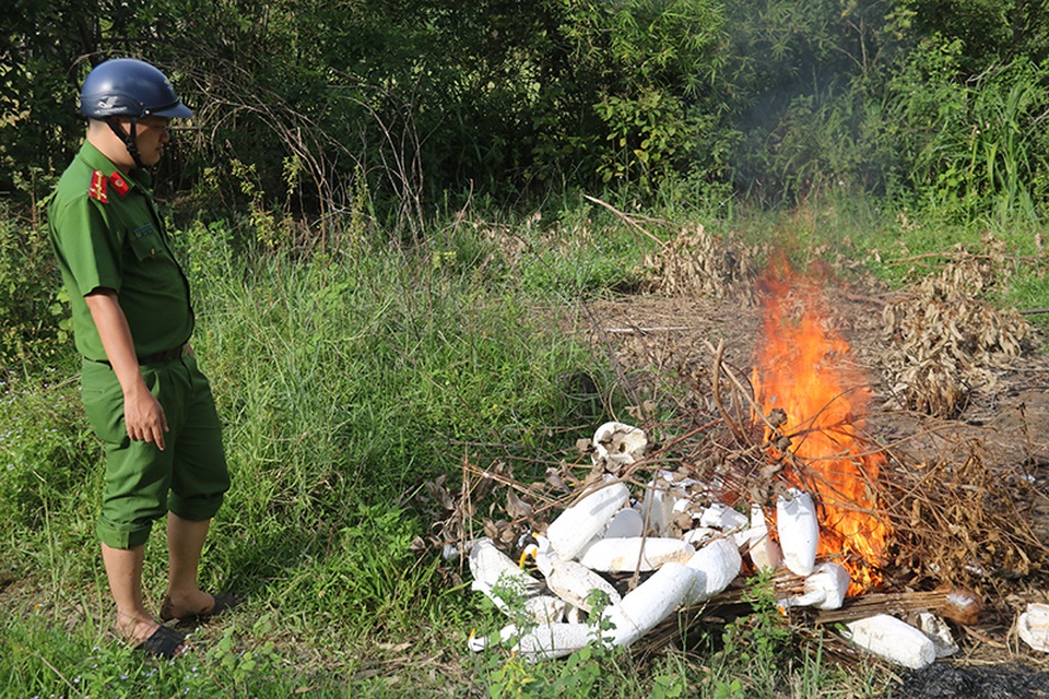 Truy quét, tháo dỡ “thiên la địa võng” tận diệt chim trời - 13