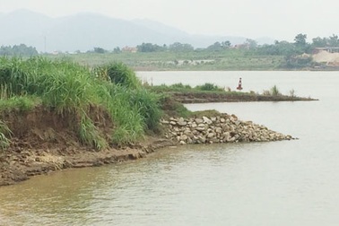 Tỉnh Phú Thọ chỉ đạo làm rõ vụ khai thác cát đe dọa đất canh tác của nông dân