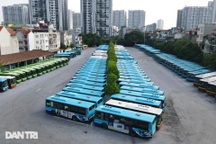 Xe buýt Hà Nội hoạt động chở khách 100% công suất từ hôm nay