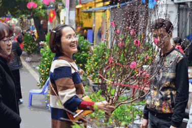 Hà Nội mở 60 chợ hoa Xuân phục vụ nhân dân trong dịp Tết