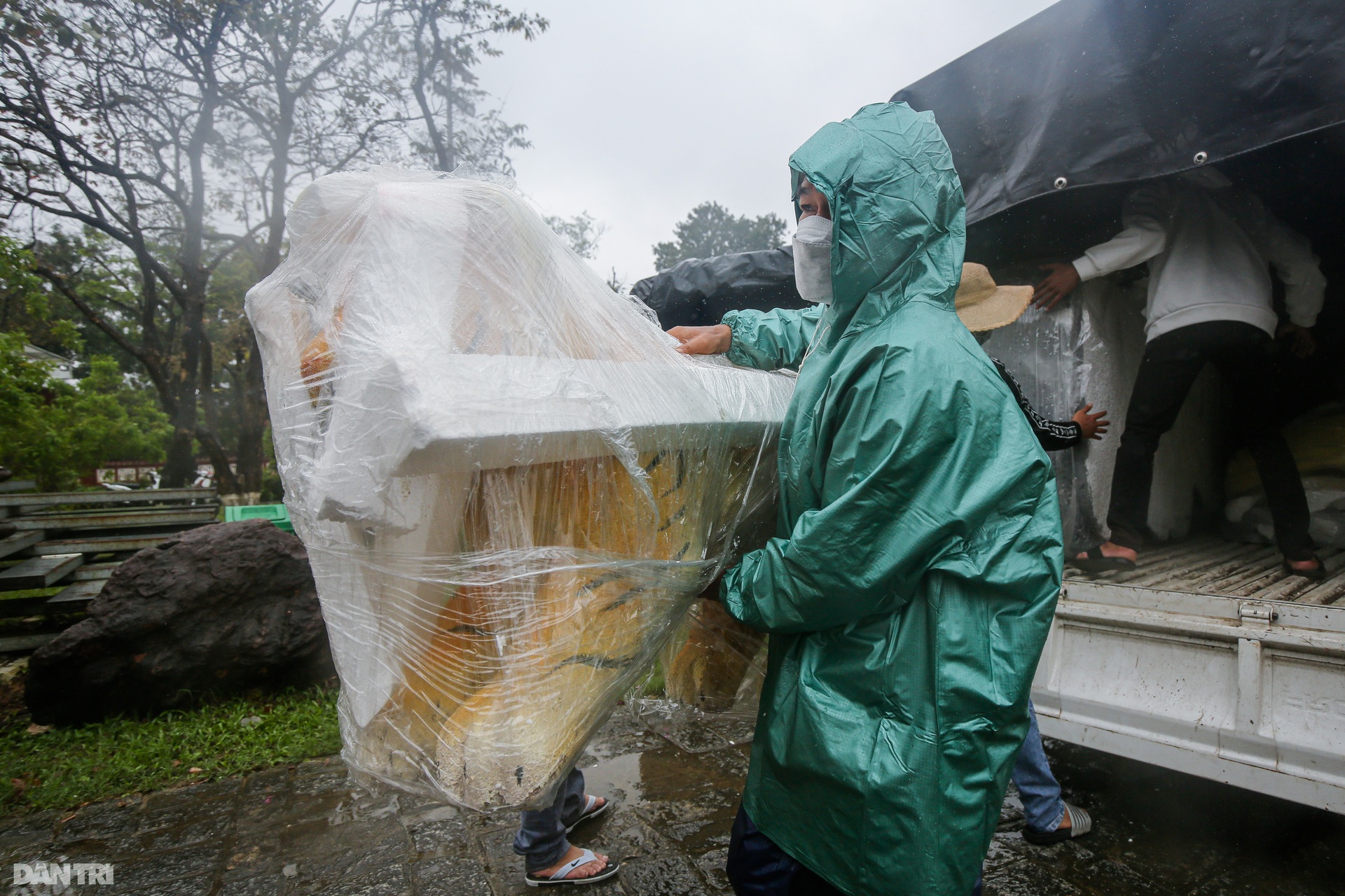 Người dân xứ Huế háo hức đợi xem hình tượng hổ từ TPHCM mang về Hội Xuân - 7