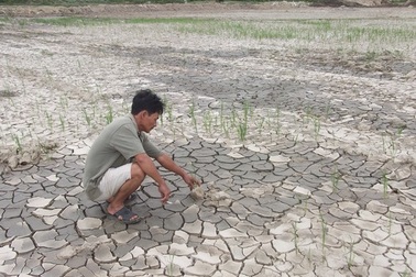 Bức tử rừng để khai thác than, dân "gồng mình" gánh hậu quả