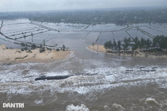 Rừng phòng hộ "biến mất", sóng biển đe dọa khu dân cư