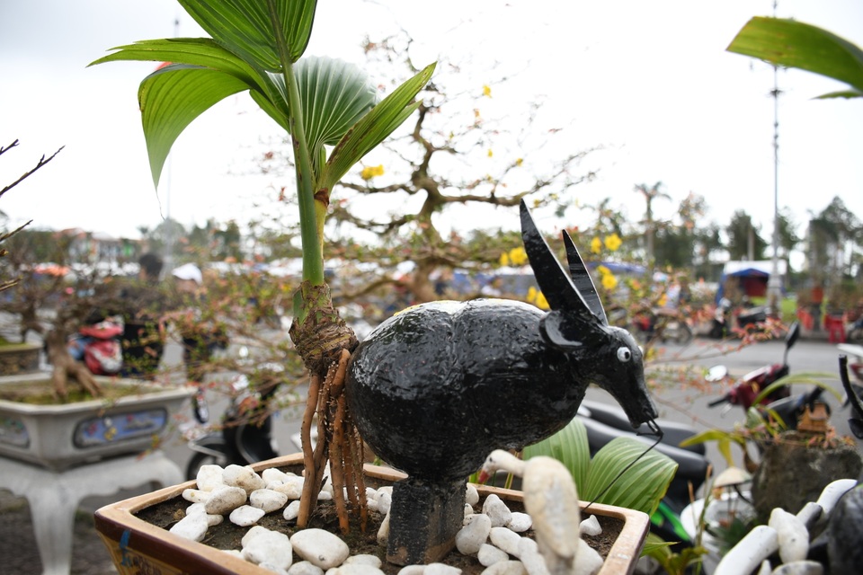 Độc đáo bonsai dừa hình trâu thu hút khách Tết Tân Sửu - 2 Độc đáo bonsai dừa hình trâu thu hút khách Tết Tân Sửu - 2