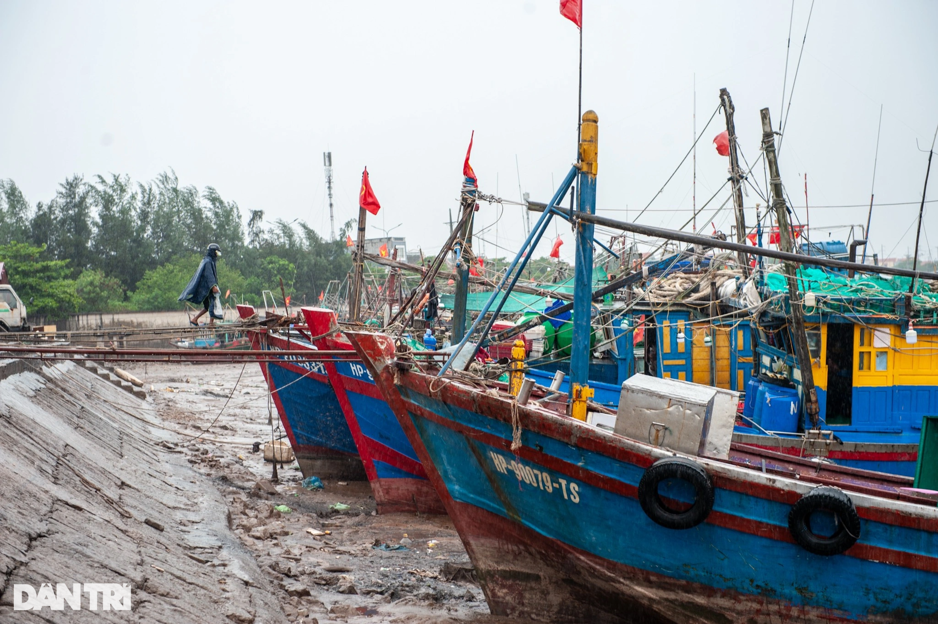Cảng cá Hải Phòng chằng giữ tàu thuyền, nín thở chờ bão Talim đi qua - 3 Cảng cá Hải Phòng chằng giữ tàu thuyền, nín thở chờ bão Talim đi qua - 3