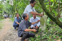 12,35 triệu tỷ đồng xây dựng nông thôn mới và giảm nghèo bền vững giai đoạn 2026-2035