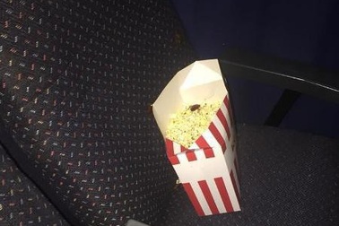 Mua bắp rang bơ ở rạp, cô gái hoảng hồn thấy cả ổ gián bên trong