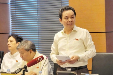 Đại biểu cảnh báo về Temu và cơn lốc hàng giá rẻ, "cần hành động ngay"