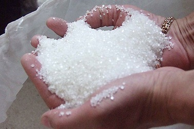 Giám sát chặt tạm nhập tái xuất đường để chống gian thương