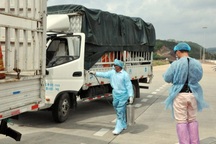 Vì sao Trung Quốc tạm dừng nhập thanh long trong 7 ngày?