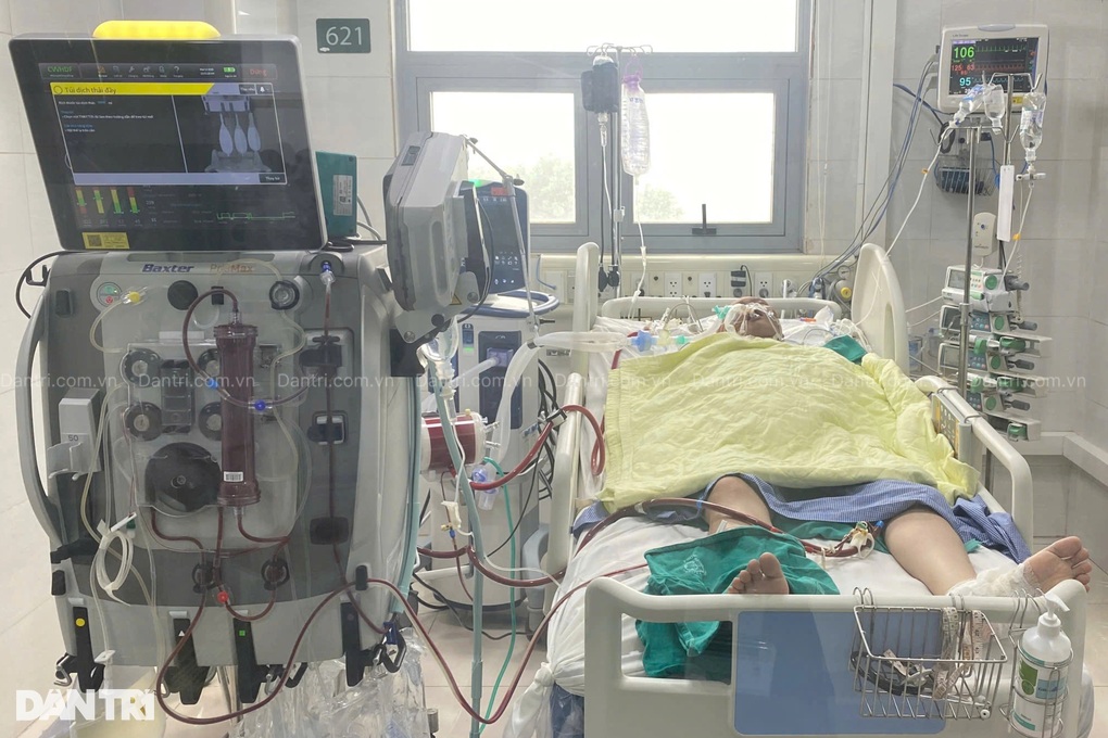 Bác sĩ Bệnh viện Bạch Mai kêu gọi cứu nam sinh nguy kịch do sốc nhiễm khuẩn - 2 Bác sĩ Bệnh viện Bạch Mai kêu gọi cứu nam sinh nguy kịch do sốc nhiễm khuẩn - 2