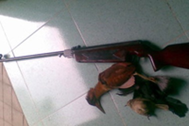 Dùng súng săn trái phép còn bắn thủng bụng công an 