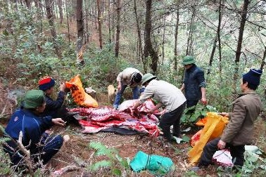 Vẫn tiếp diễn tình trạng hàng ngàn trâu bò chết rét