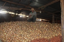 Rau quả Đà Lạt bị ép giá vì hàng Trung Quốc giả danh