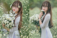 Cô giáo tiểu học dịu dàng khoe sắc bên hoa cúc họa mi