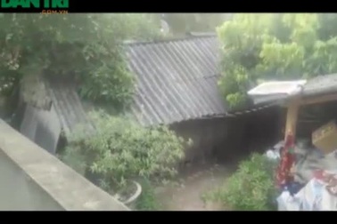 “Không có tiền, phải nghỉ học thôi con ơi!”