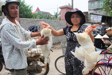 Thịt vịt cháy hàng trong ngày “giết sâu bọ”