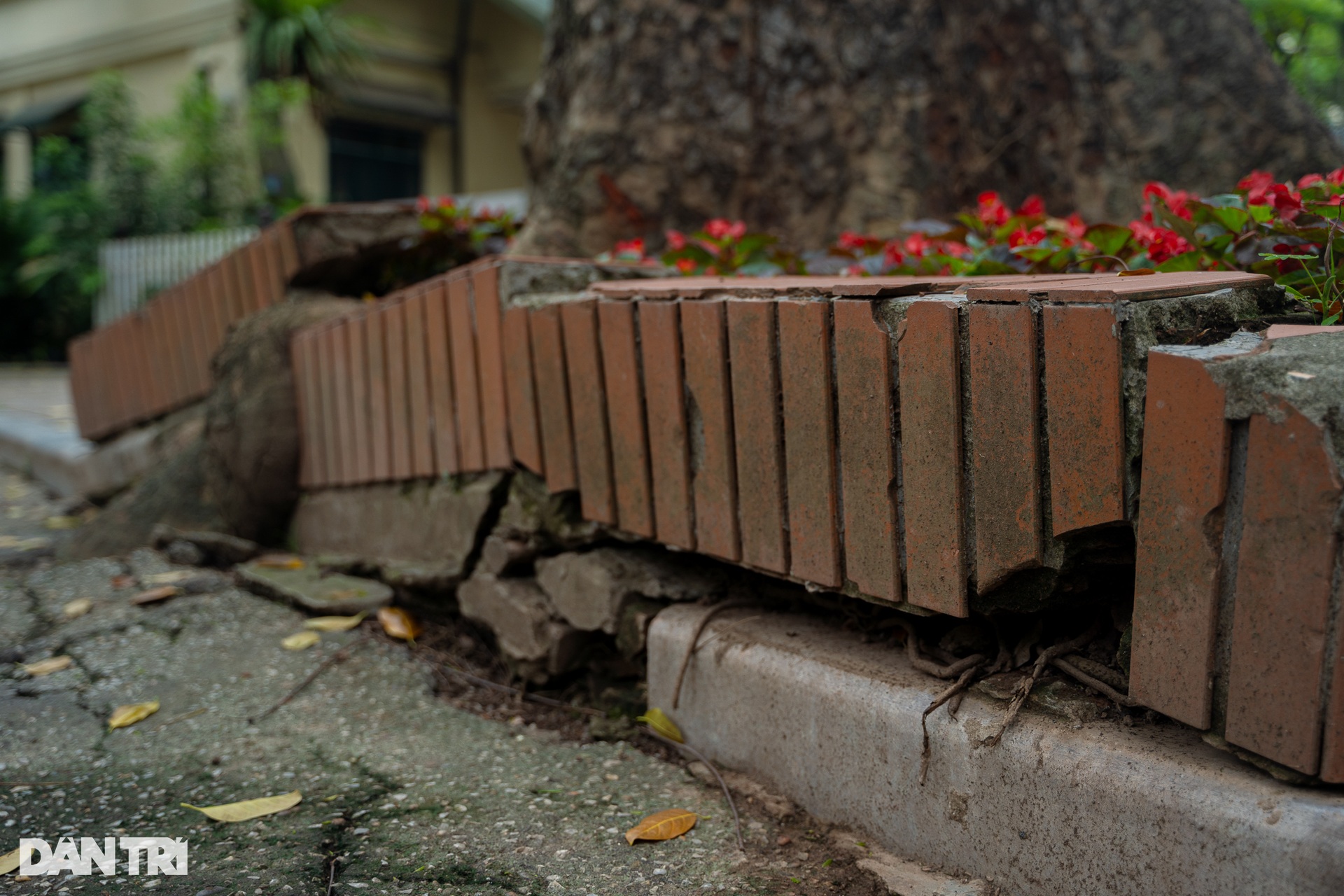 Những công viên nghìn tỷ trên đất vàng Hà Nội bị bỏ hoang - 16